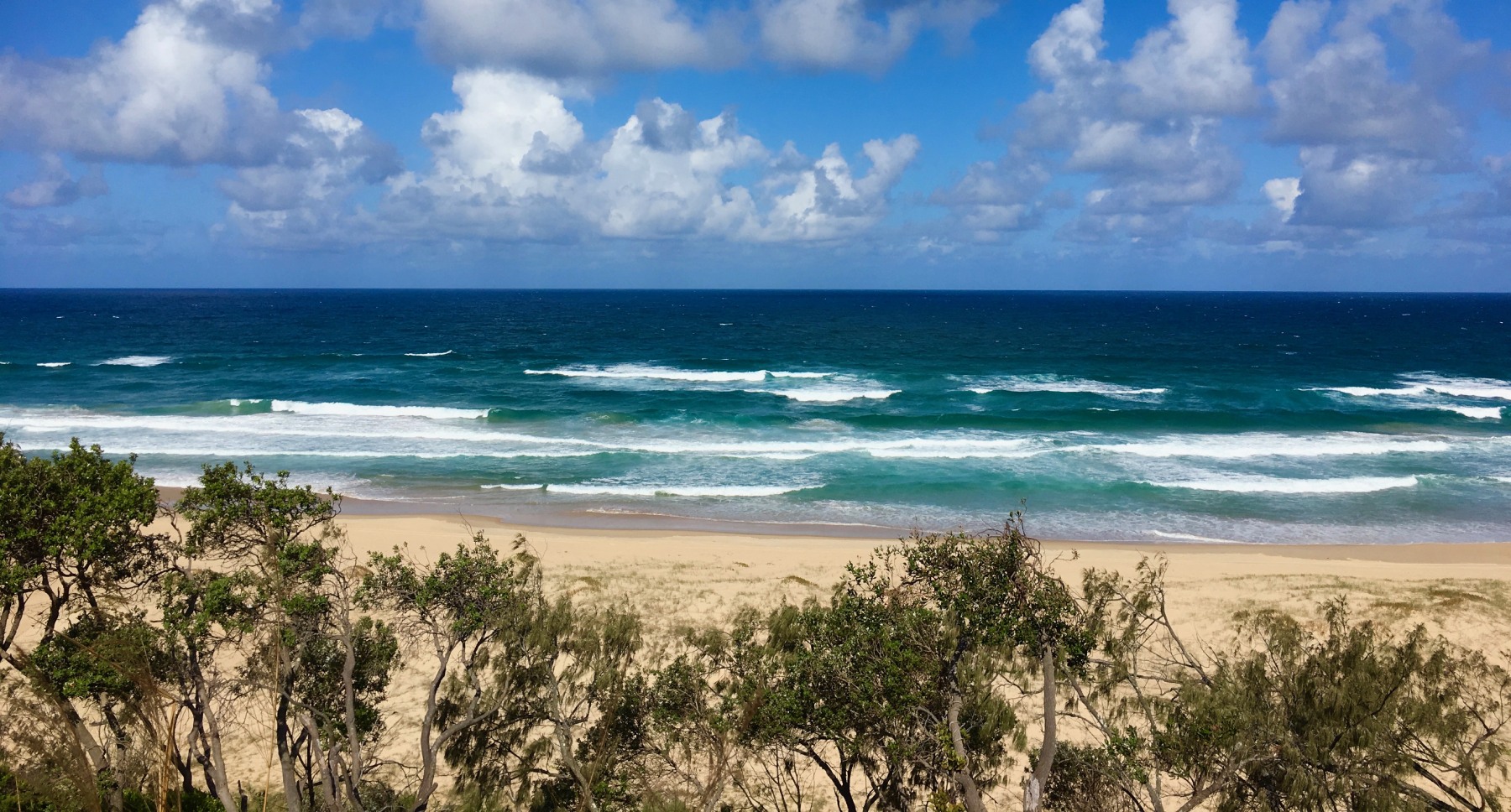 Castaways Beach