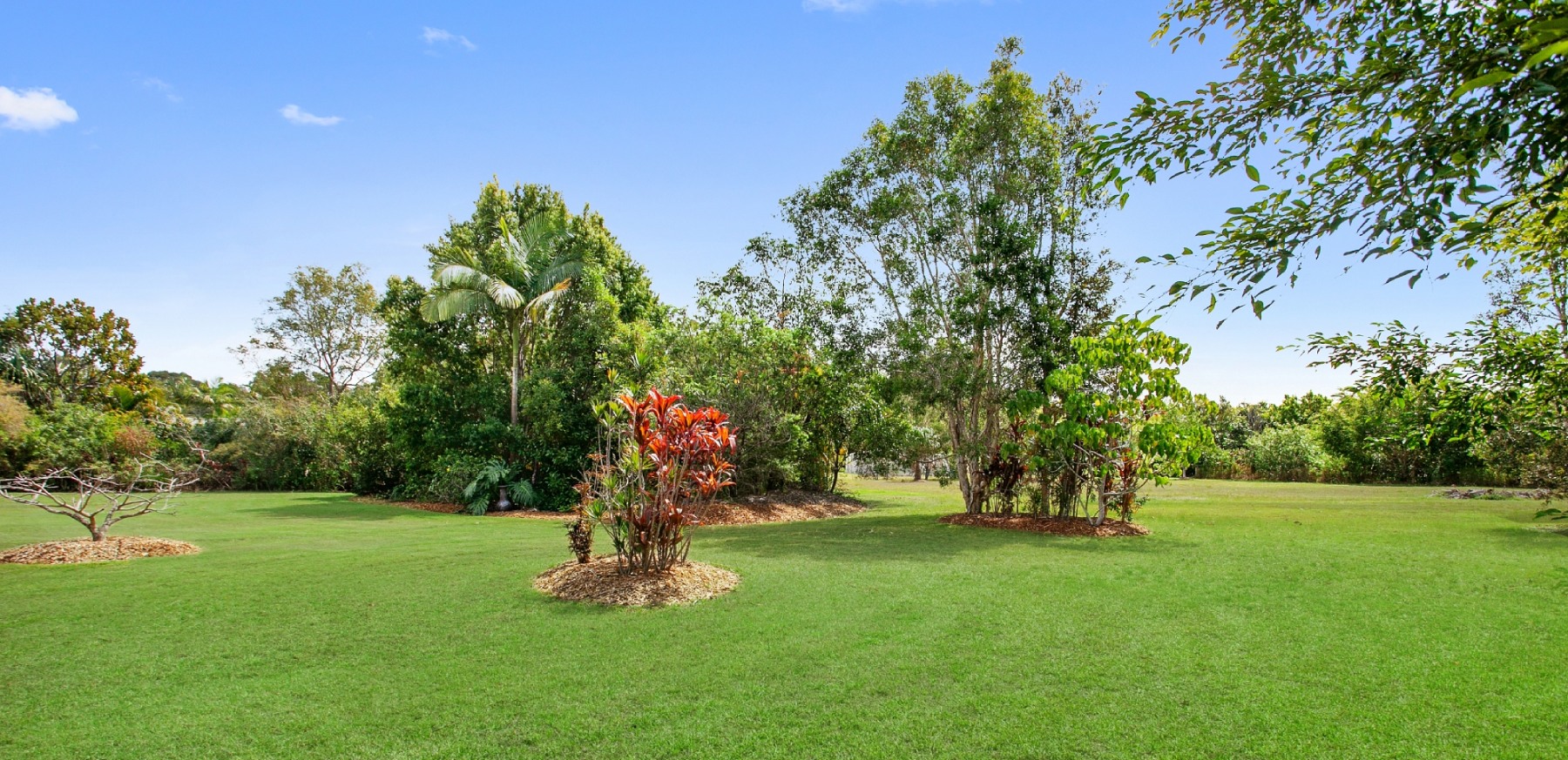 Cooroibah