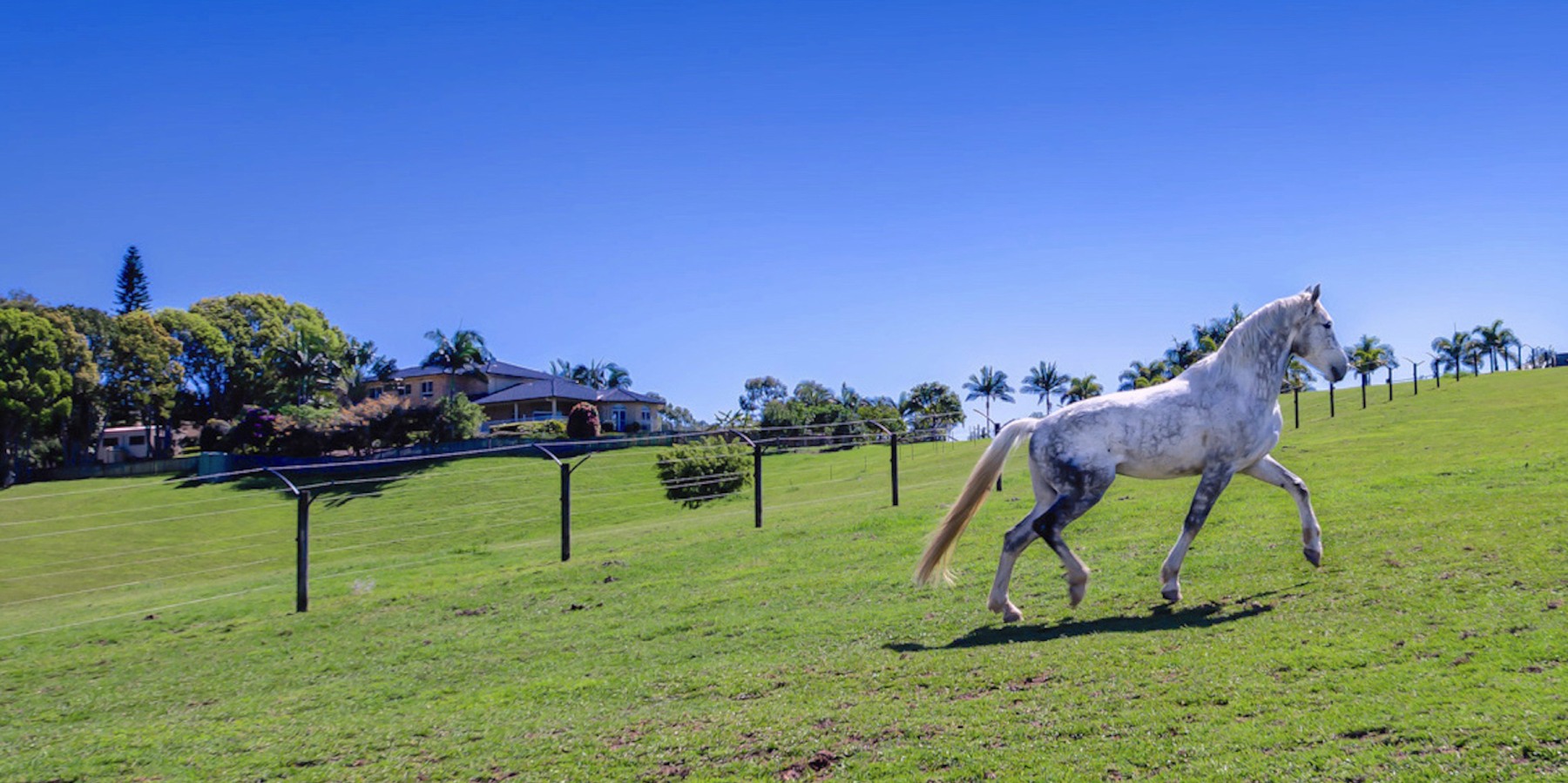Cooroy